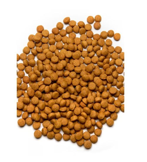 PSITTACUS PIENSO ALTA ENERGIA 800 GR.