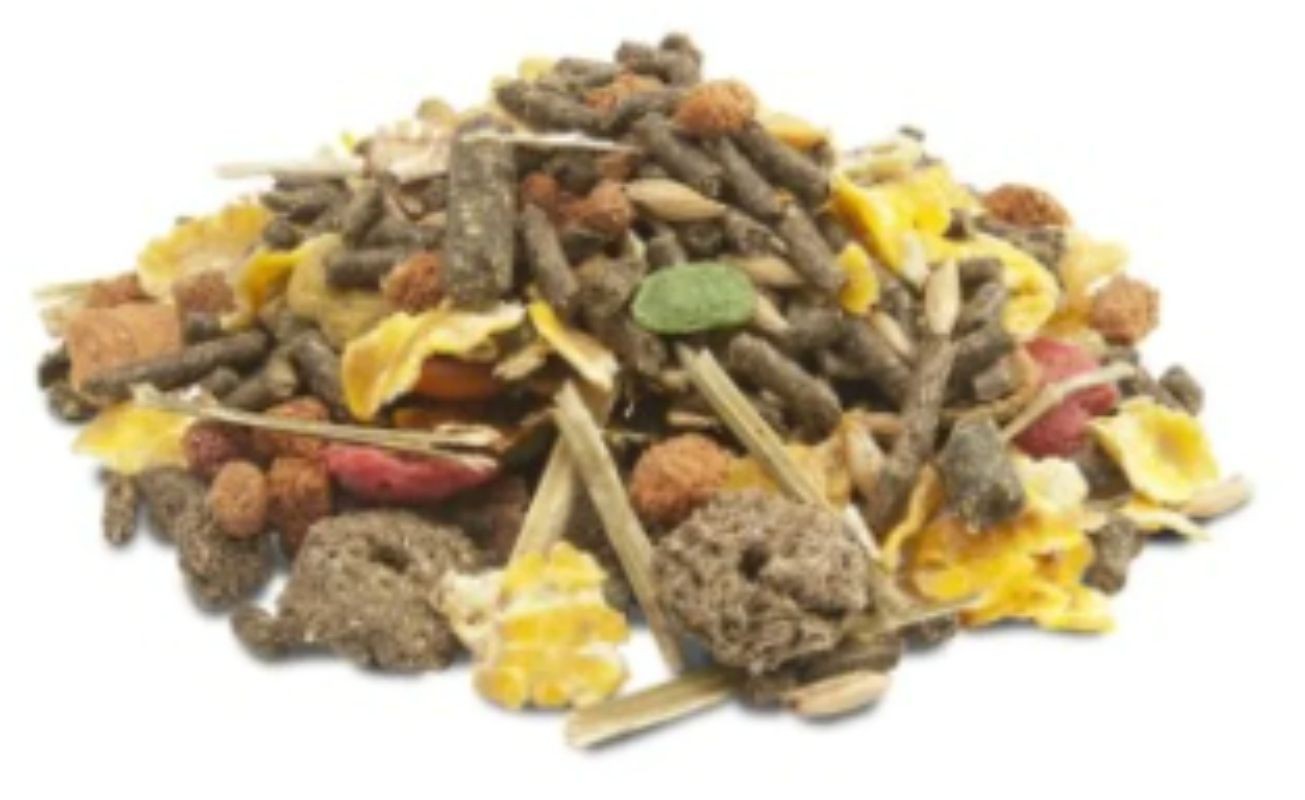 COBAYA CRISPY MUESLI 10 KG. VERSELE-LAGA