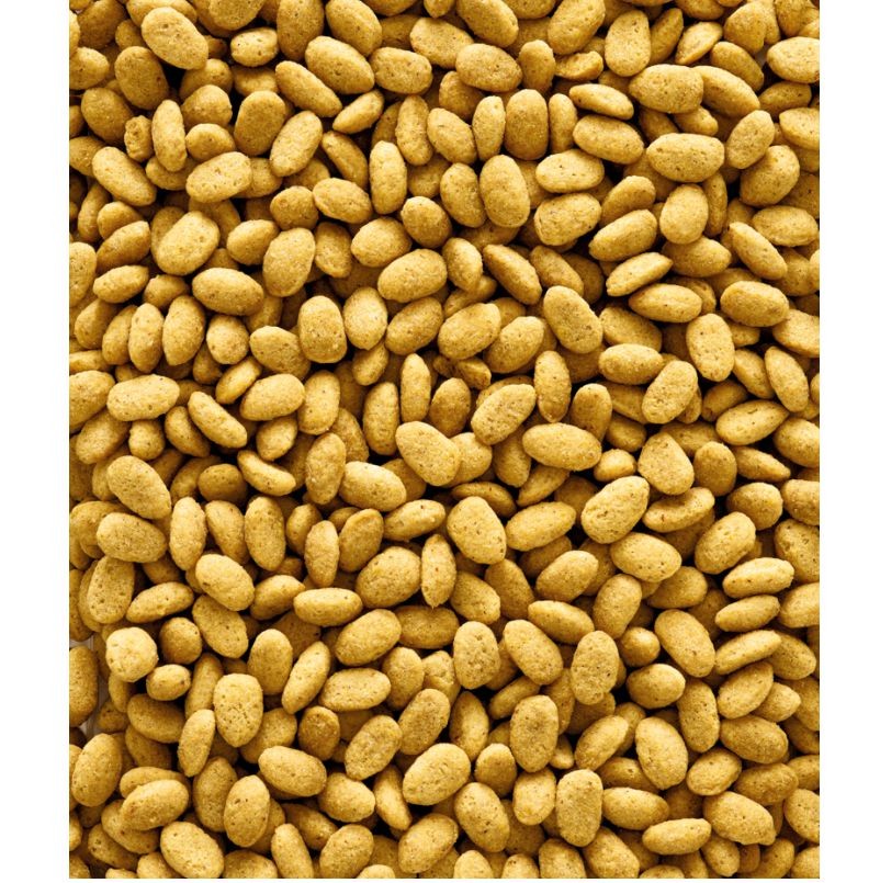 NUTRIBIRD P19 ORIGINAL CRIA 10 KG. VERSELE-LAGA